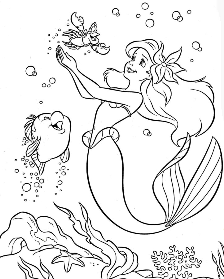 drawings/ariel-10-723x900.jpg