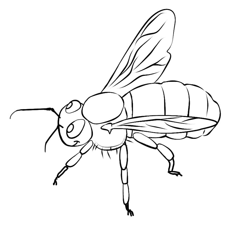 Bee