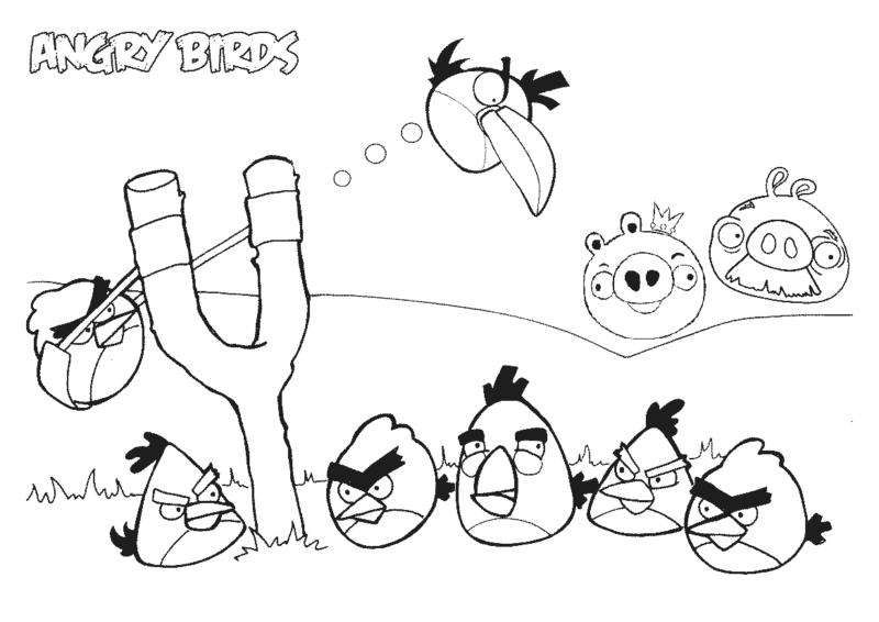 drawings/desenho-angry-birds-imprimir08-800x566.gif