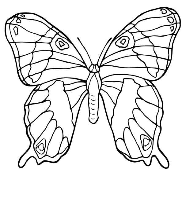 drawings/desenho-borboleta-imprimir-pintar-03.jpg