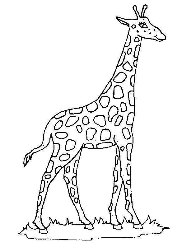 drawings/desenho-girafa-imprimir15.jpg