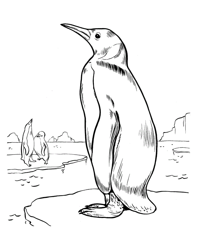 drawings/desenho-pinguin-imprimir13.gif