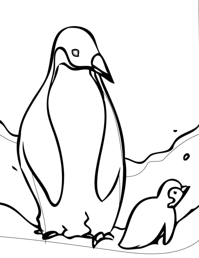 drawings/desenho-pinguin-imprimir5-695x900.jpg