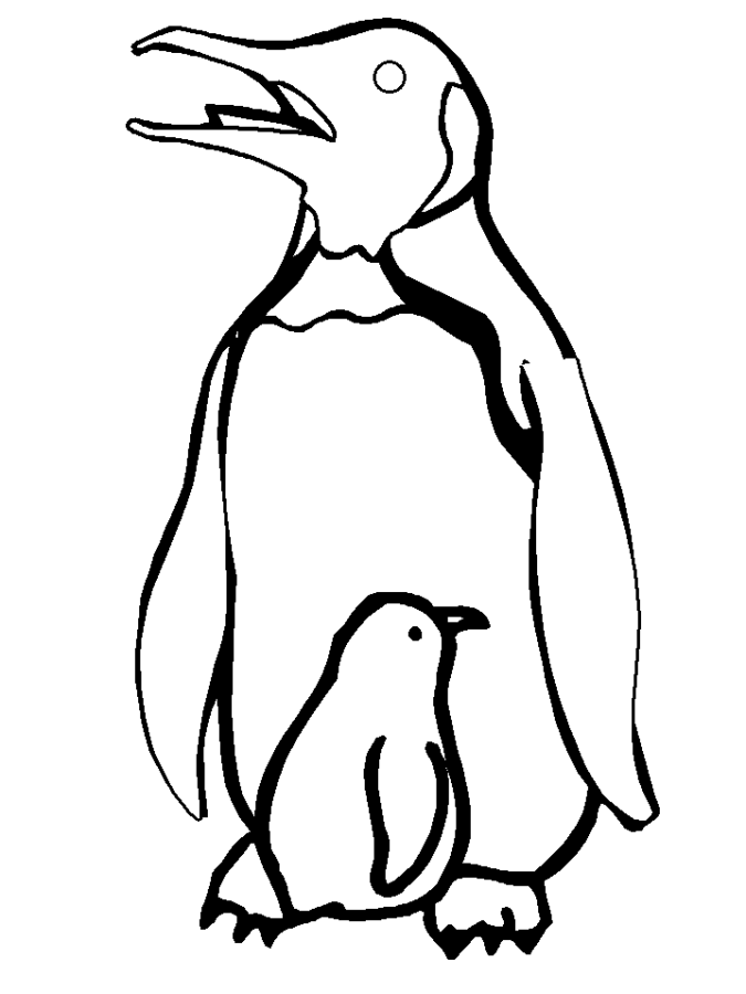 drawings/desenho-pinguin-imprimir8-675x900.gif