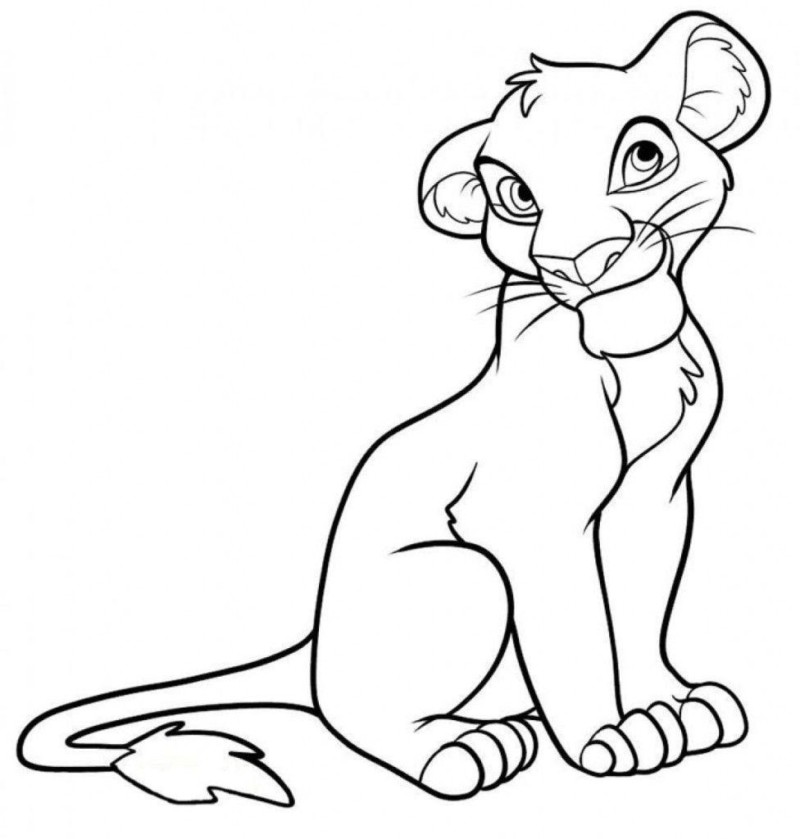 drawings/desenho-simba-imprimir-colorir-08-800x839.jpg