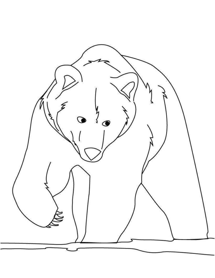 drawings/desenho-urso-colorir4-696x900.jpg