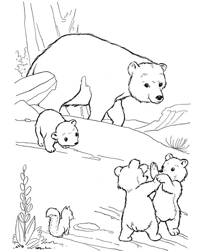 drawings/desenho-urso-colorir5.gif