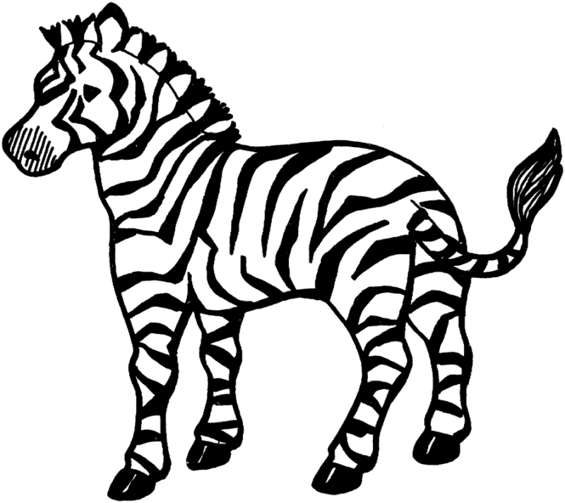 drawings/desenho-zebra-imprimir-colorir-05-800x711.gif