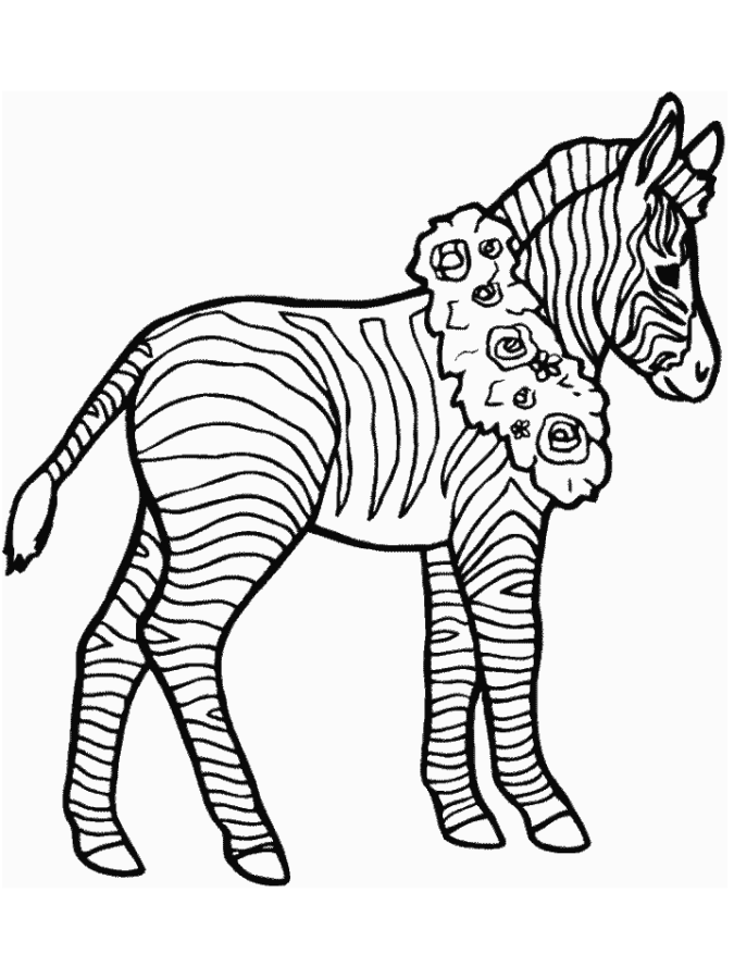 drawings/desenho-zebra-imprimir-colorir-15-675x900.gif