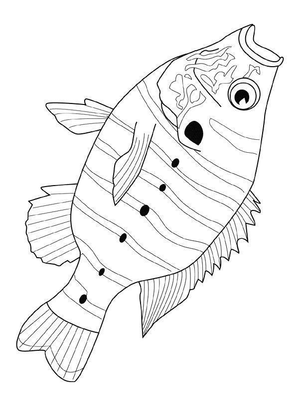 drawings/desenhos-peixes-imprimir01.jpg