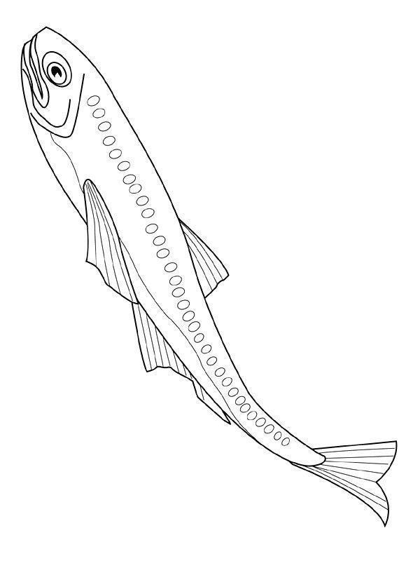 drawings/desenhos-peixes-imprimir03.jpg