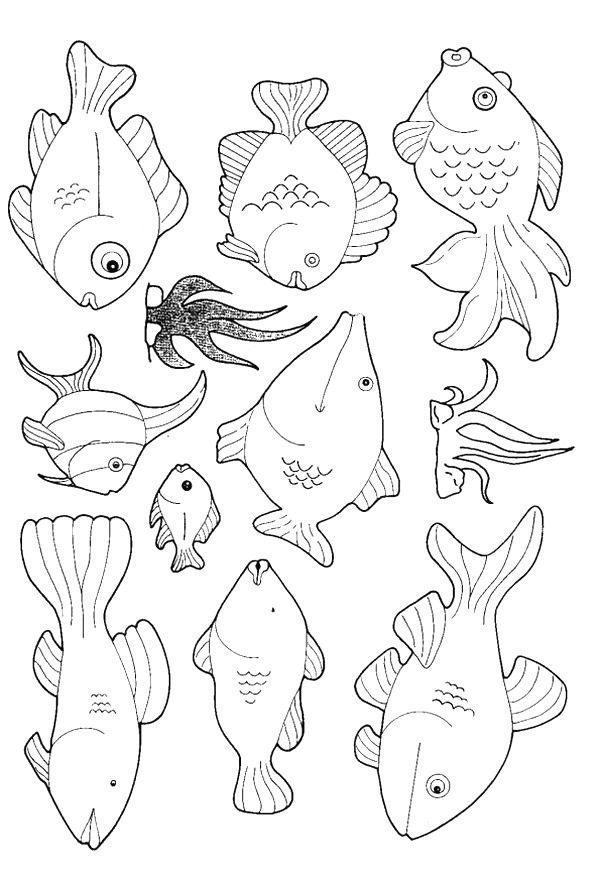 drawings/desenhos-peixes-imprimir08.jpg