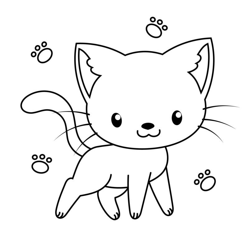 drawings/gatos-para-colorir-45-800x800.jpg