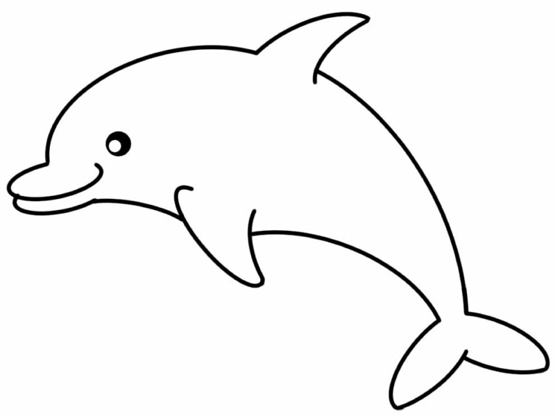 Dolphin