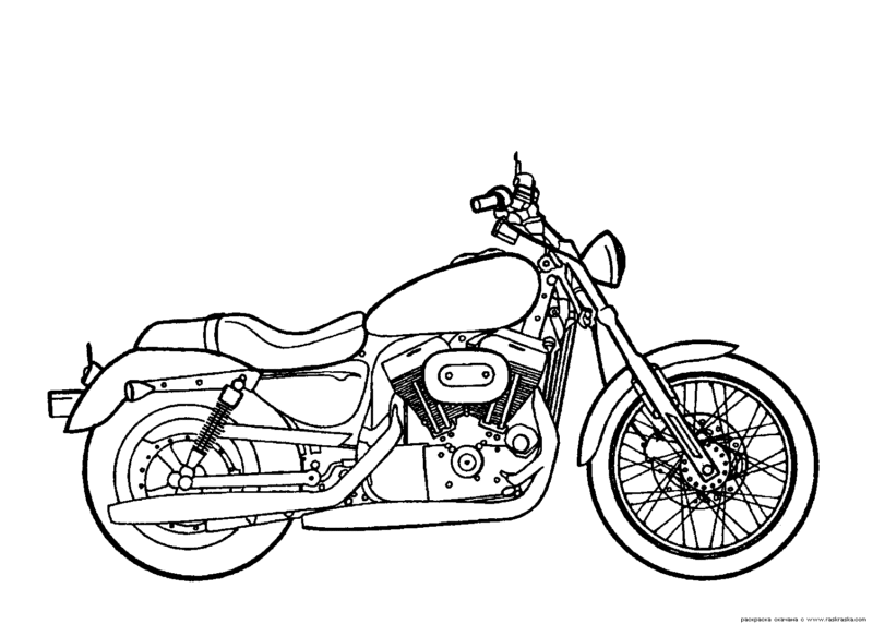 drawings/motos-1-800x572.gif