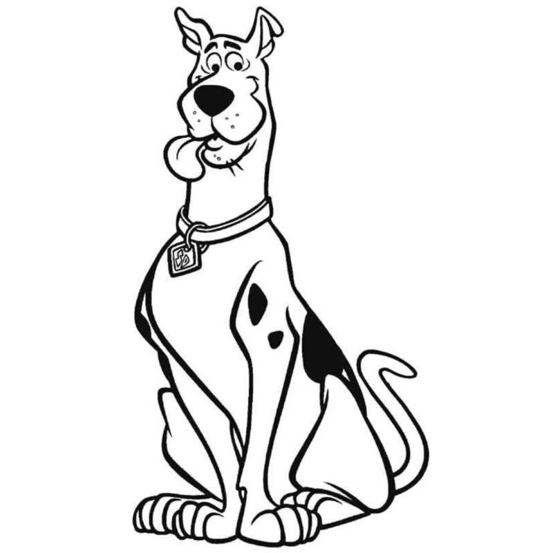 drawings/scooby-doo-para-colorir-15-800x800.jpg