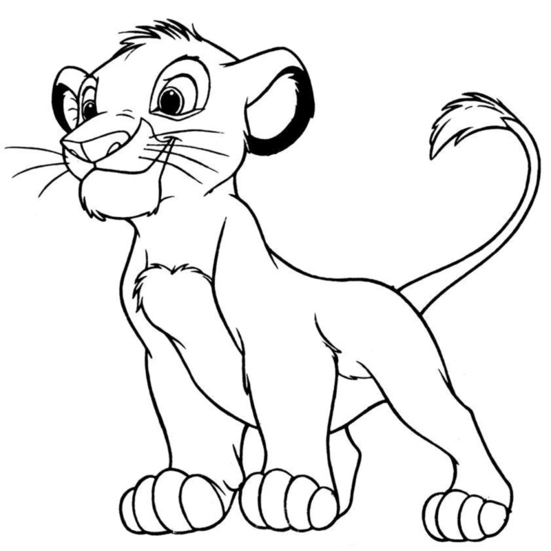 drawings/simba-para-colorir-12-800x800.jpg