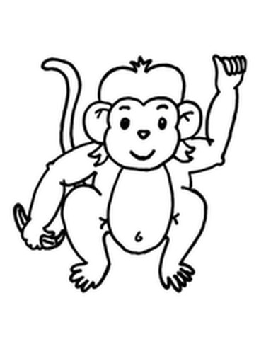 Monkey