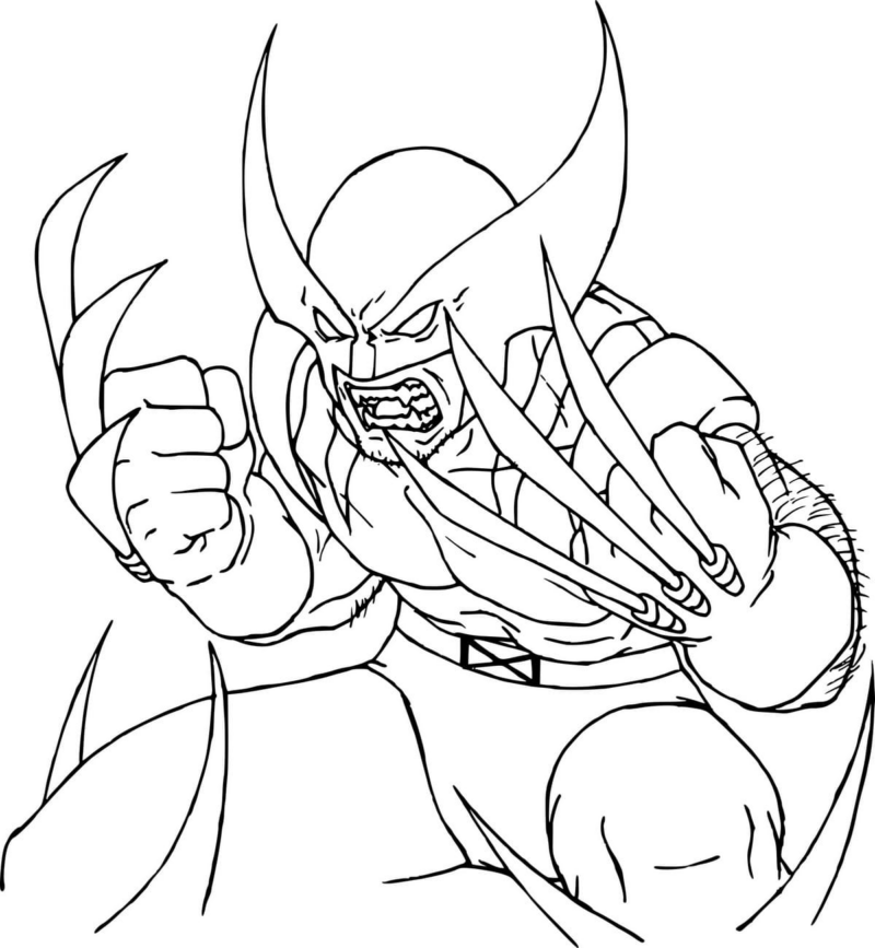 drawings/wolverine-03-800x867.png