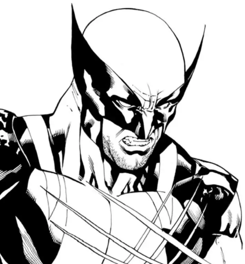 drawings/wolverine-04-1-800x863.png