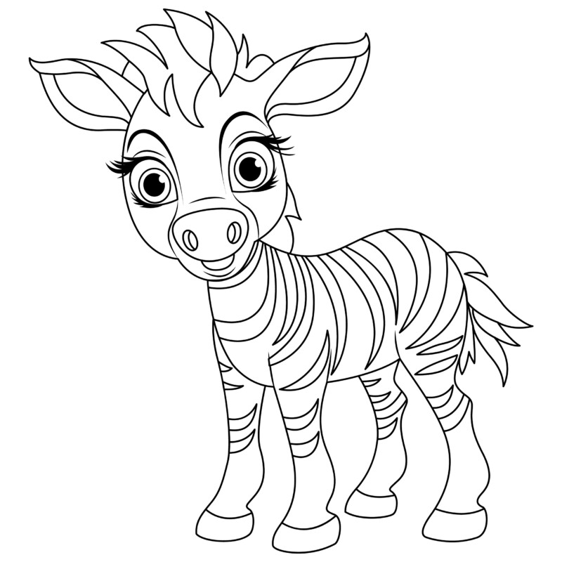 drawings/zebra-para-colorir-12-800x800.jpg